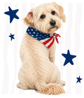Randomness 1635 - Terrier Back Usa