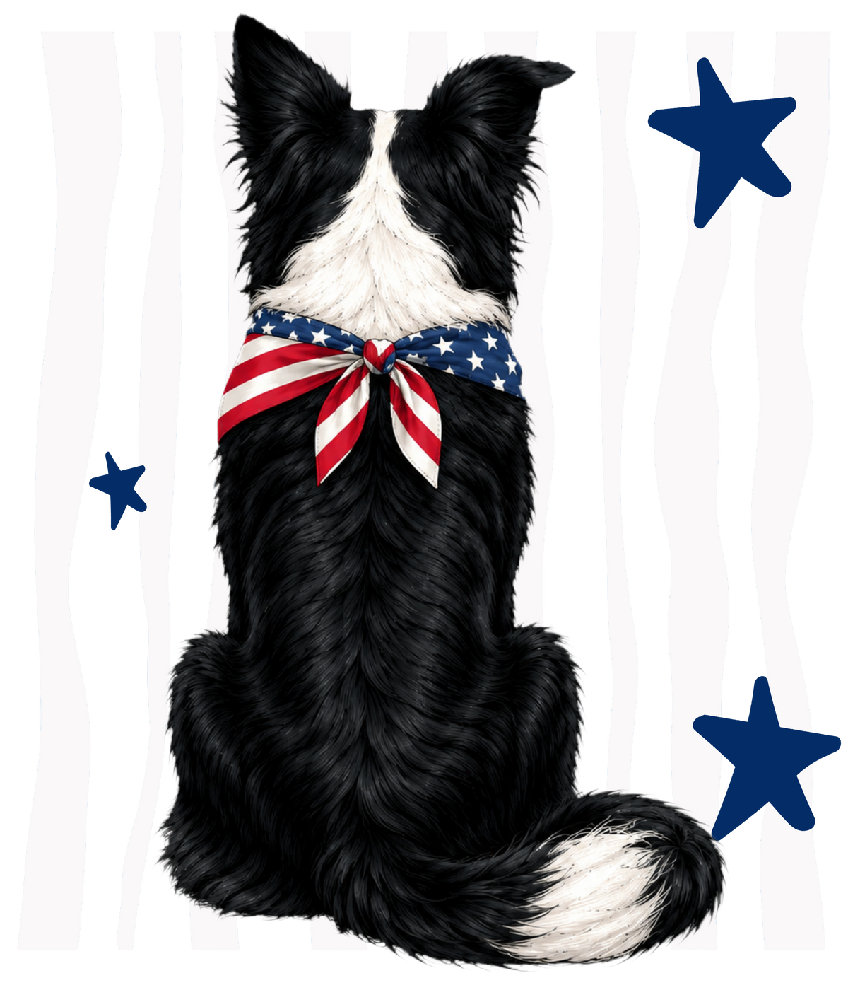 Randomness 370 - Border Collie Usa Back
