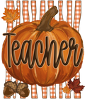 Randomness 1622 - Teacher Fall