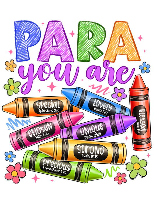Teacher 541 - Parayourare