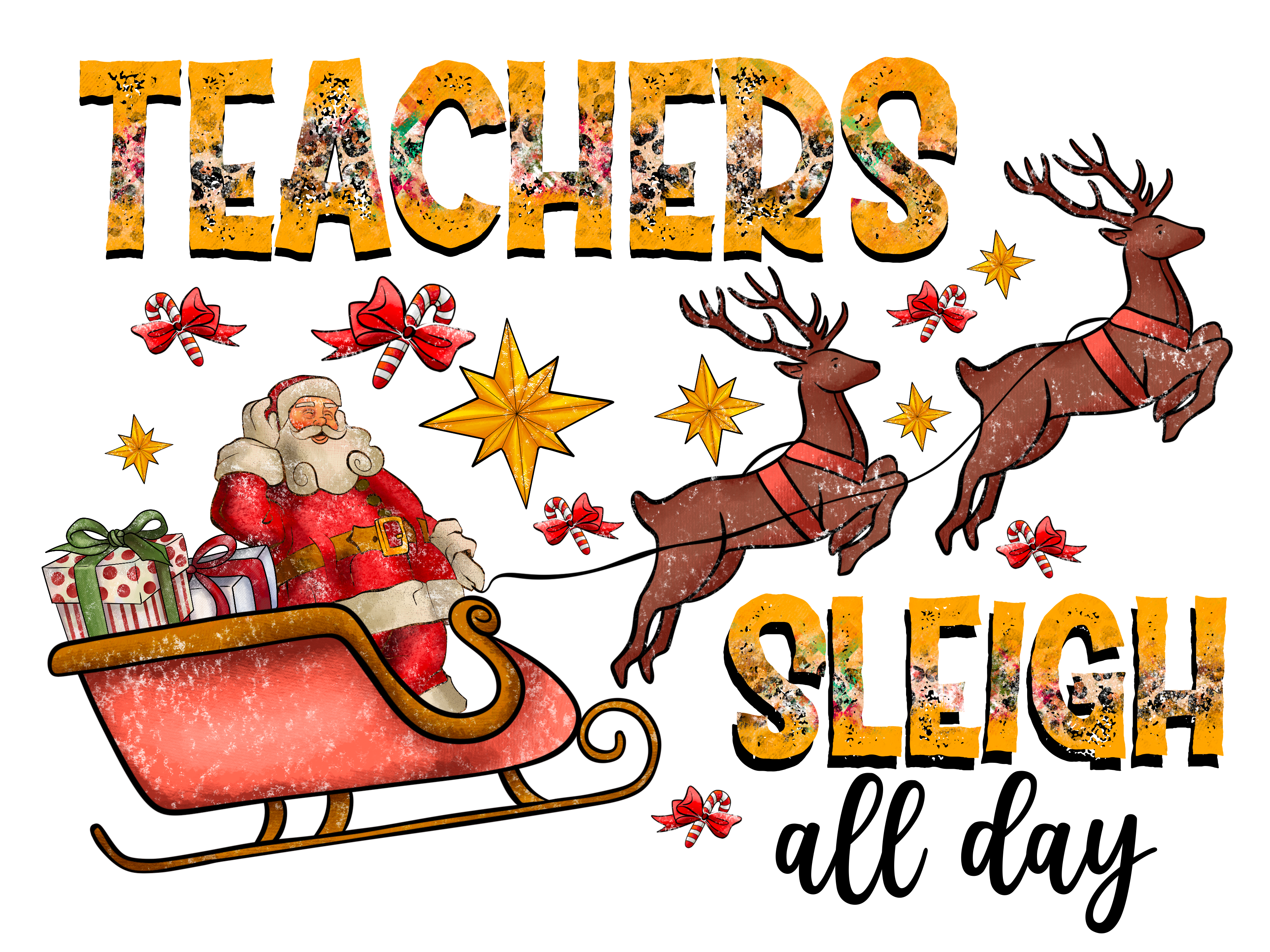 Teacher 743 - Teacherssleighallday