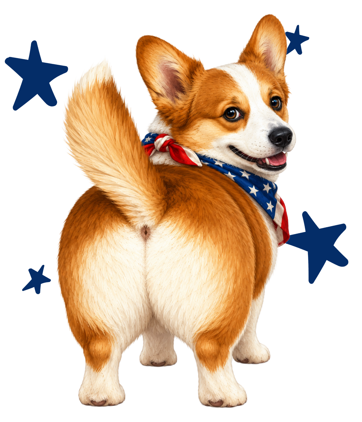 Randomness 479 - Corgi Butt No Stripes