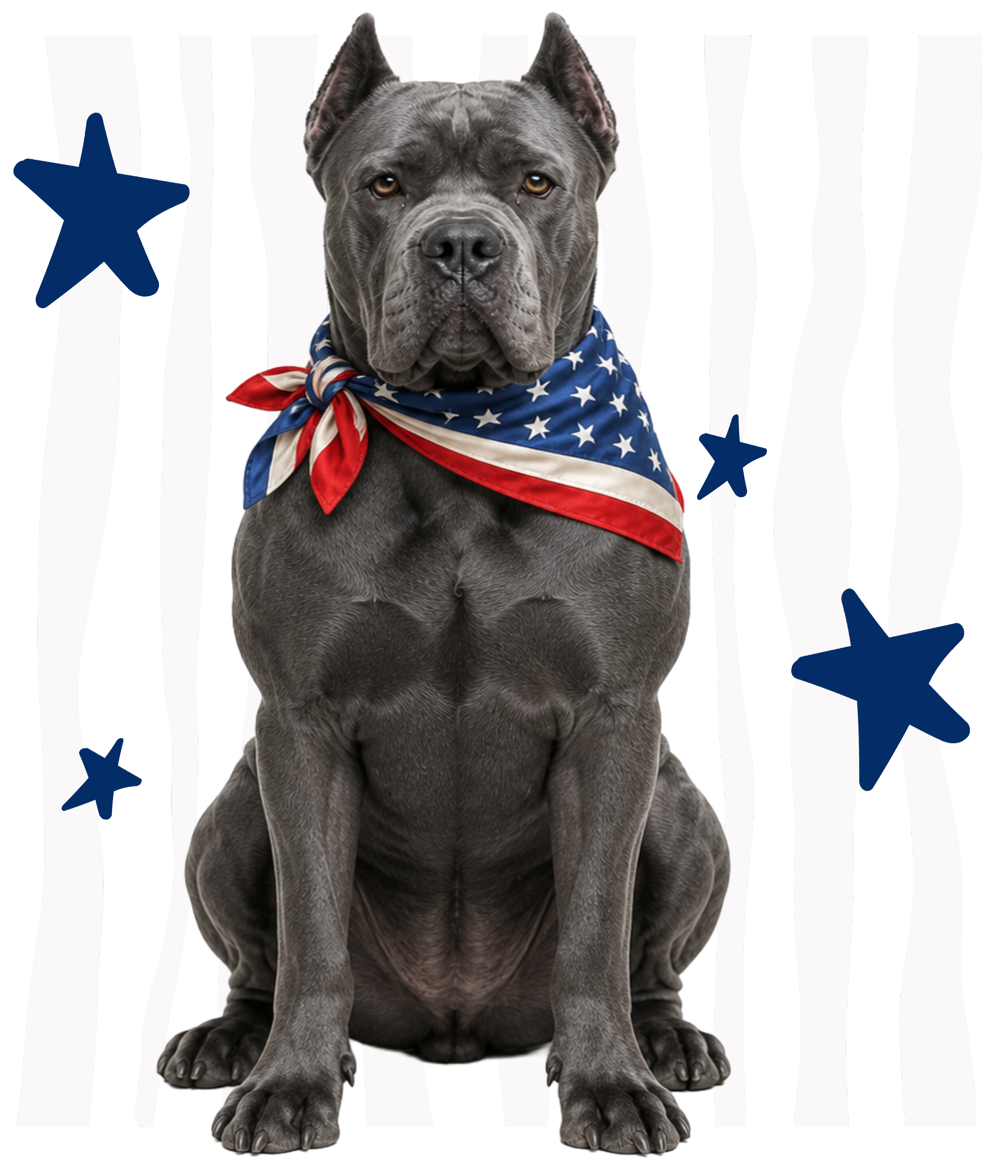 Randomness 430 - Cane Corso Usa Front