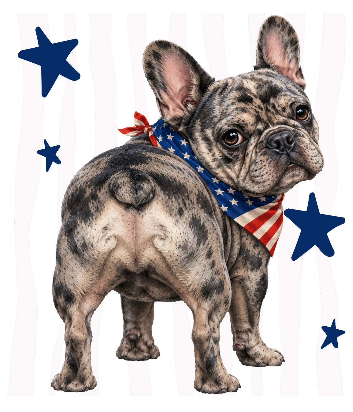 Randomness 673 - Frenchie Back Usa