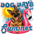 Randomness 705 - German Shepherd Dog Days Summer