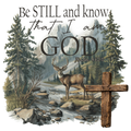 Randomness 289 - Be Still Buck