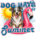 Randomness 103 - Australian Shepherd Summer