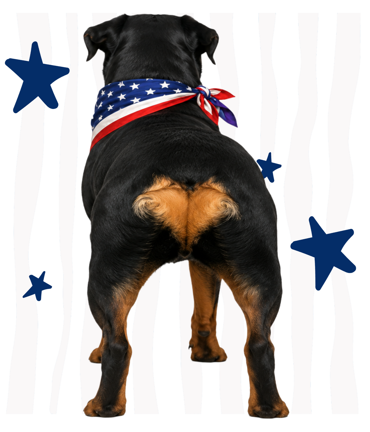 Randomness 1459 - Rott Butt Usa