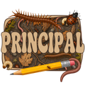 Randomness 1380 - Principal Bugs