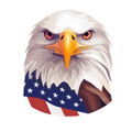 4th of July 82 - 32