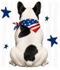 Randomness 1313 - Piedfrenchieback