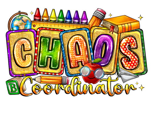 Teacher 155 - Chaoscoordinatorteacher