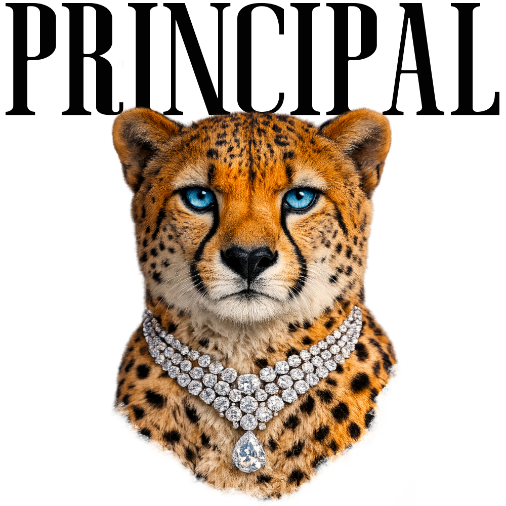 Randomness 1383 - Principal Cheetah