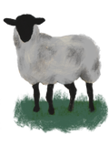 Lamb