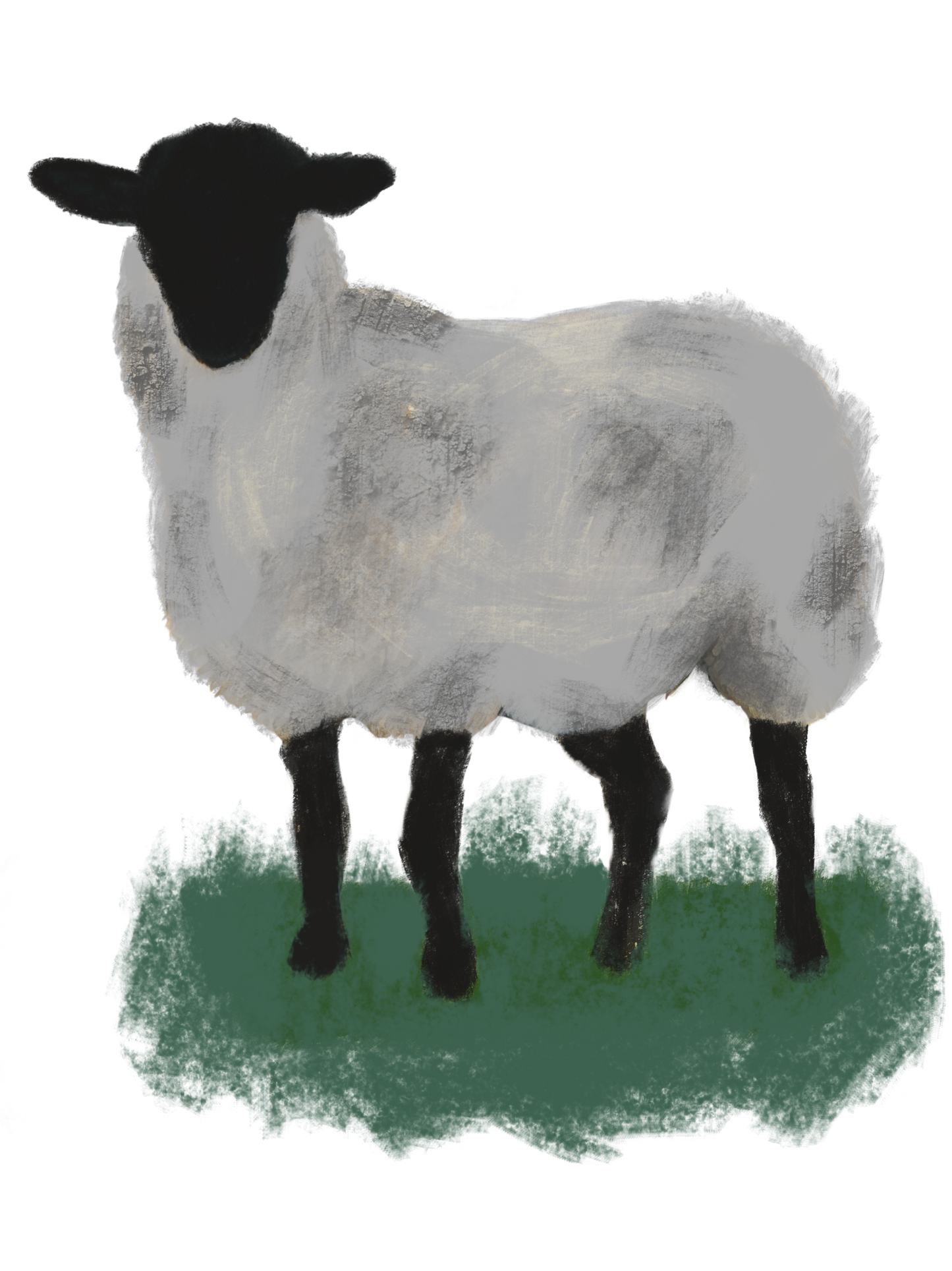 Lamb