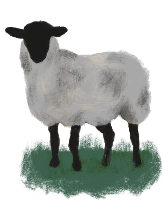 Lamb