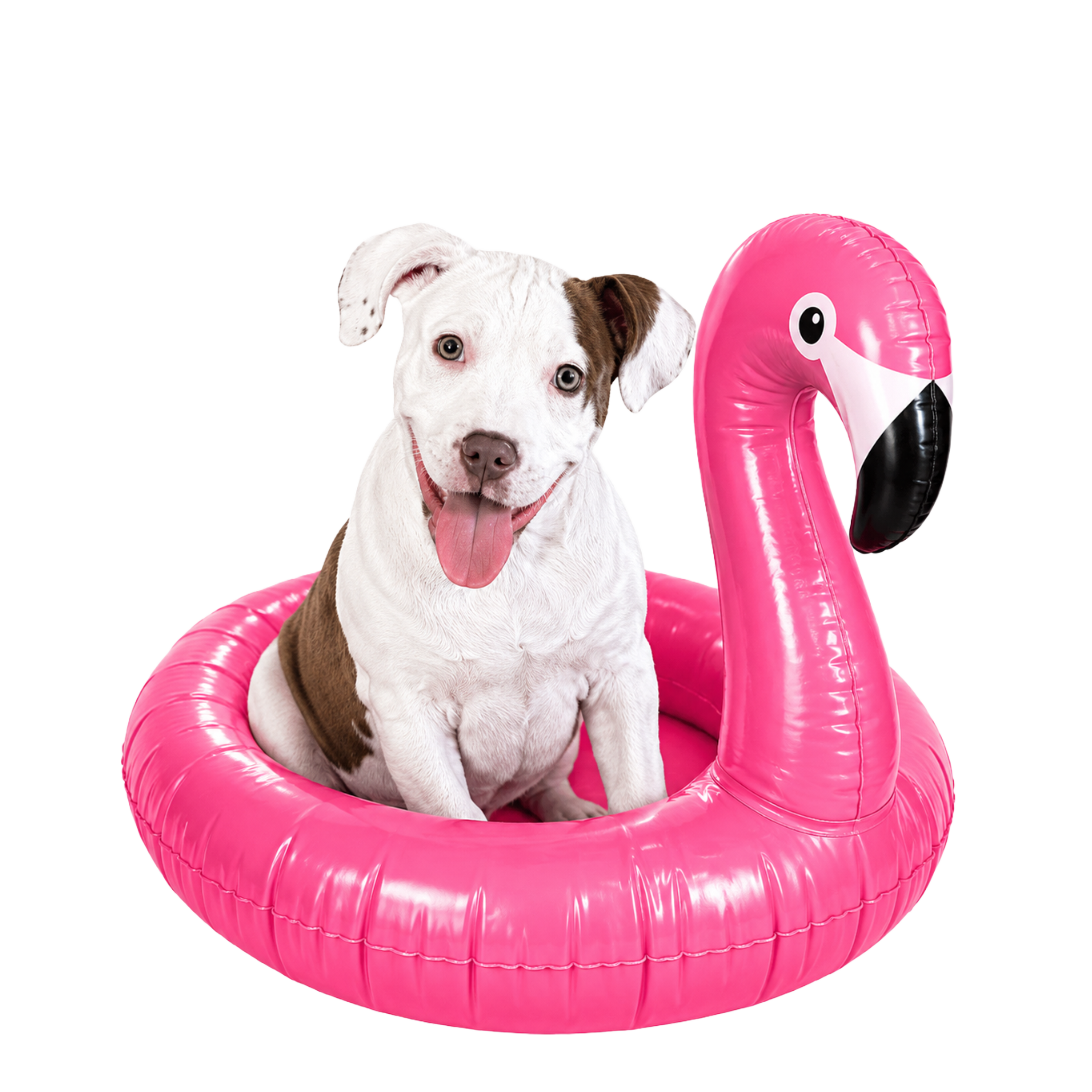 Randomness 1320 - Pit Puppy Float