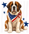 Randomness 1469 - Saint Bernard Usa Front