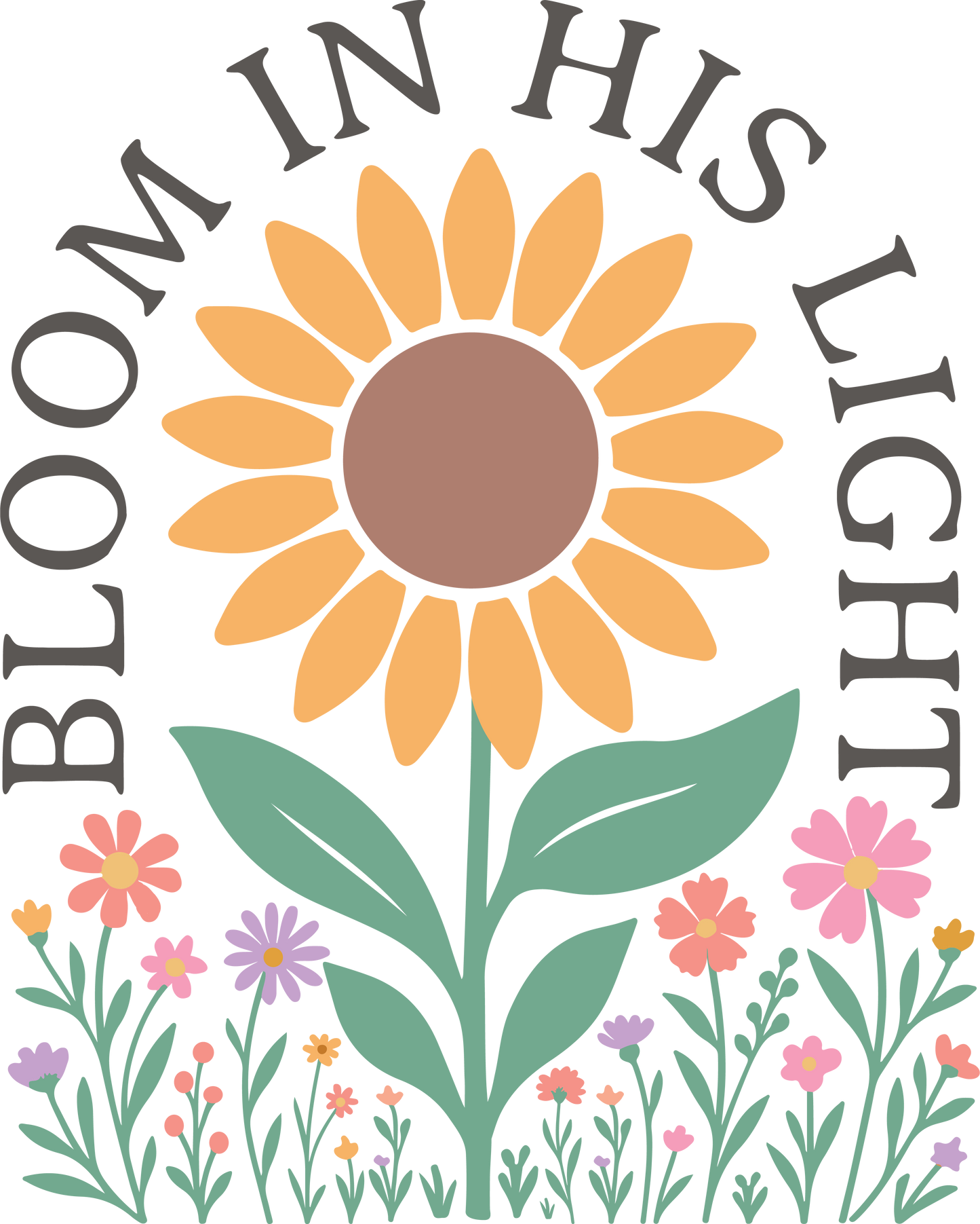 bloom in his light