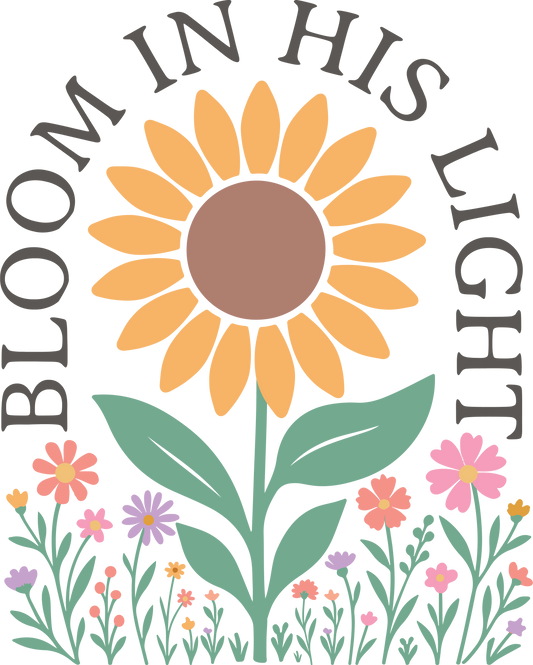 bloom in his light