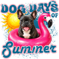 Randomness 567 - Dog Days Summer French Bulldog
