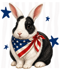 Randomness 330 - Black White Front Bunny
