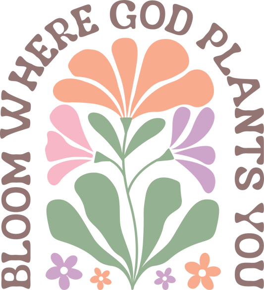 Bloom where God plants you