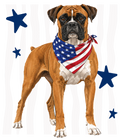Randomness 378 - Boxer Usa Front
