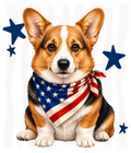 Randomness 483 - Corgi Front Usa