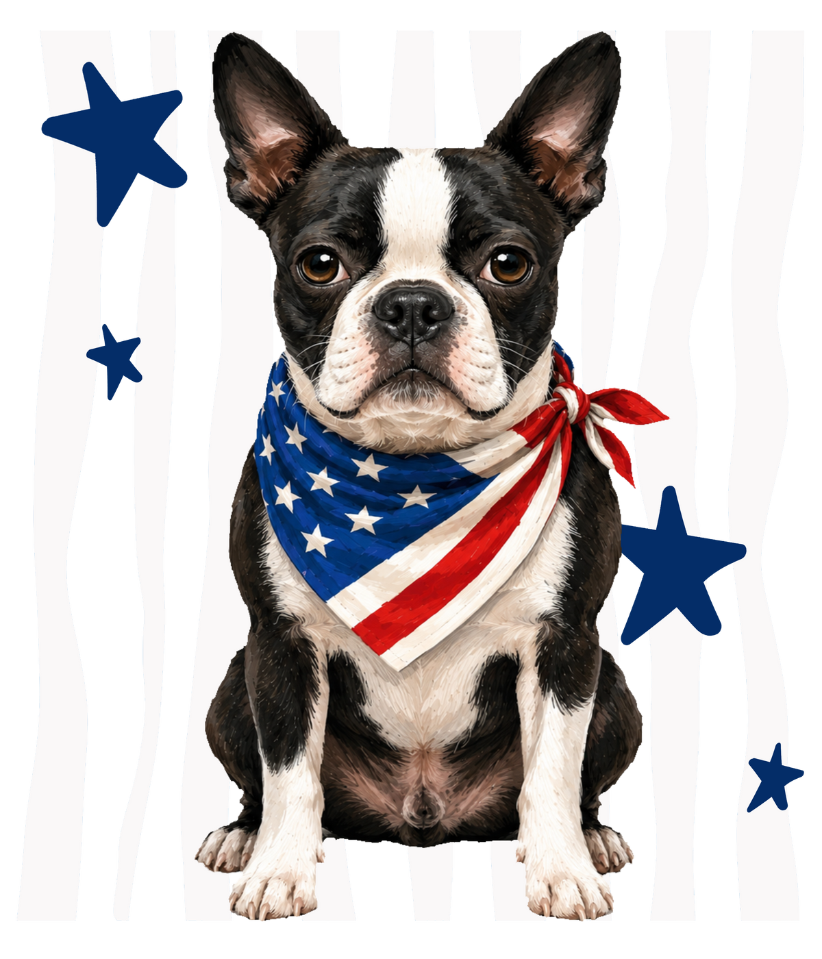 Randomness 373 - Boston Terrier Front Usa