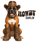 Randomness 853 - Howdy Boxer