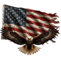 Randomness 649 - Flag Eagle