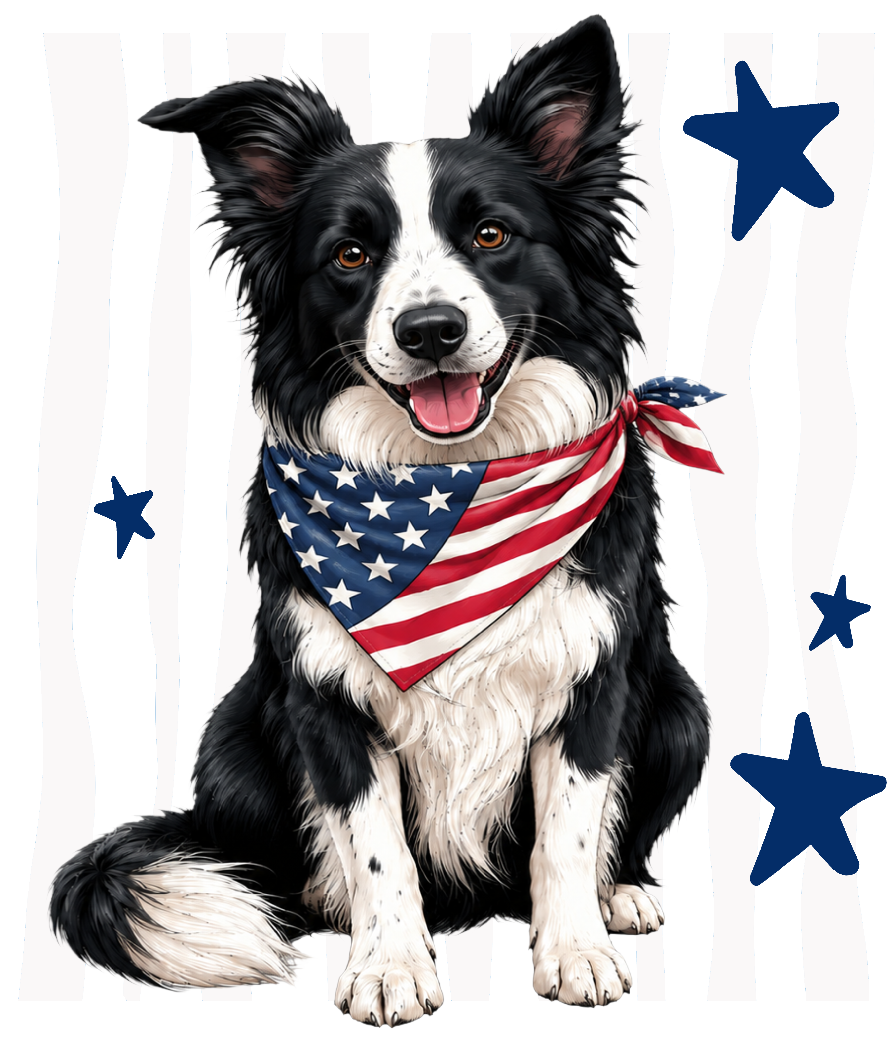 Randomness 469 - Collie Front Usa