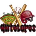 Randomness 76 - Antelopes Baseball