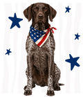 Randomness 802 - Gsp Front Usa