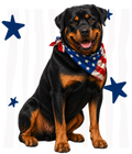 Randomness 1460 - Rottweiler Usa Front
