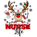 Nursing 305 - Nurse (299)