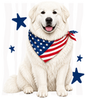 Randomness 792 - Great Pyrenees  Front