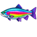 Randomness 1215 - Neon Rainbow Trout